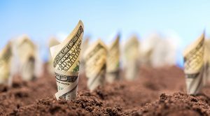 law of the harvest, financial growth, overnight success, wealth