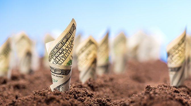 law of the harvest, financial growth, overnight success, wealth