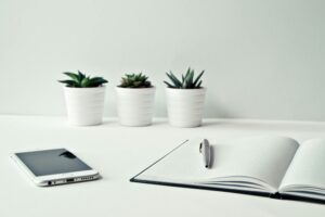 differences in a stock insurance company and mutual insurance company, stock company