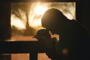 An Introduction to Limited Pay Life Life Insurance Policies