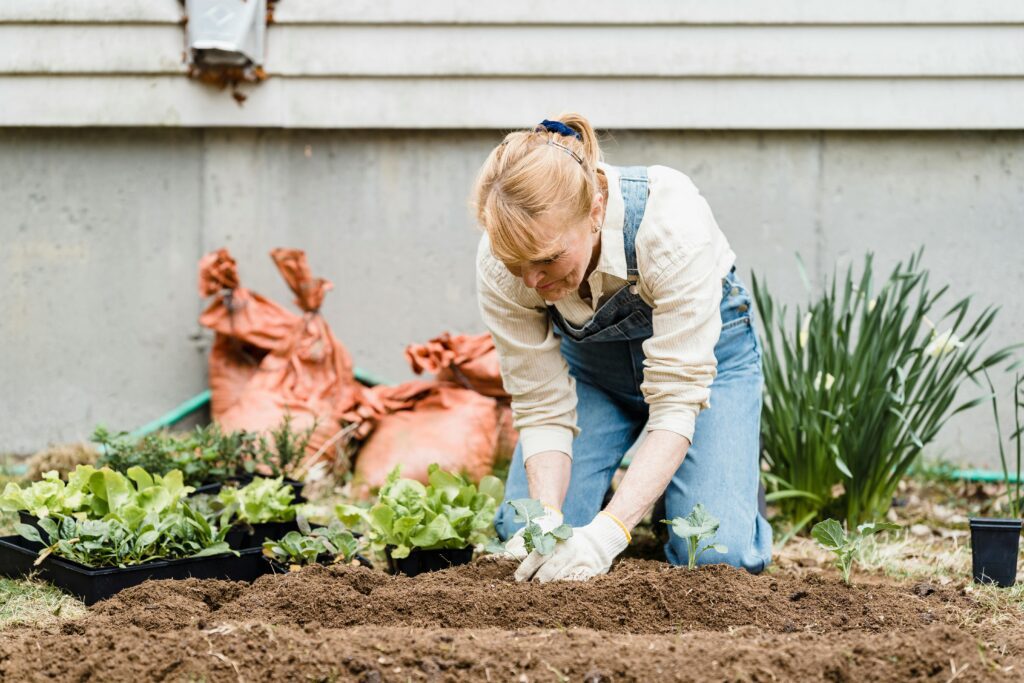 Active Retirement Living: The Joy of Combining Work and Play