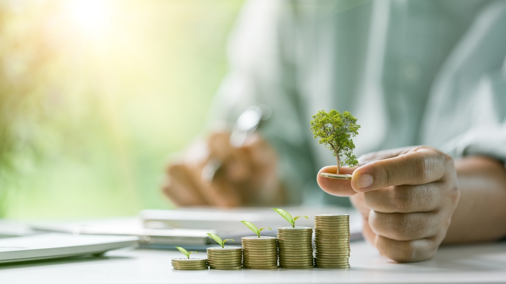 Financial independence strategy