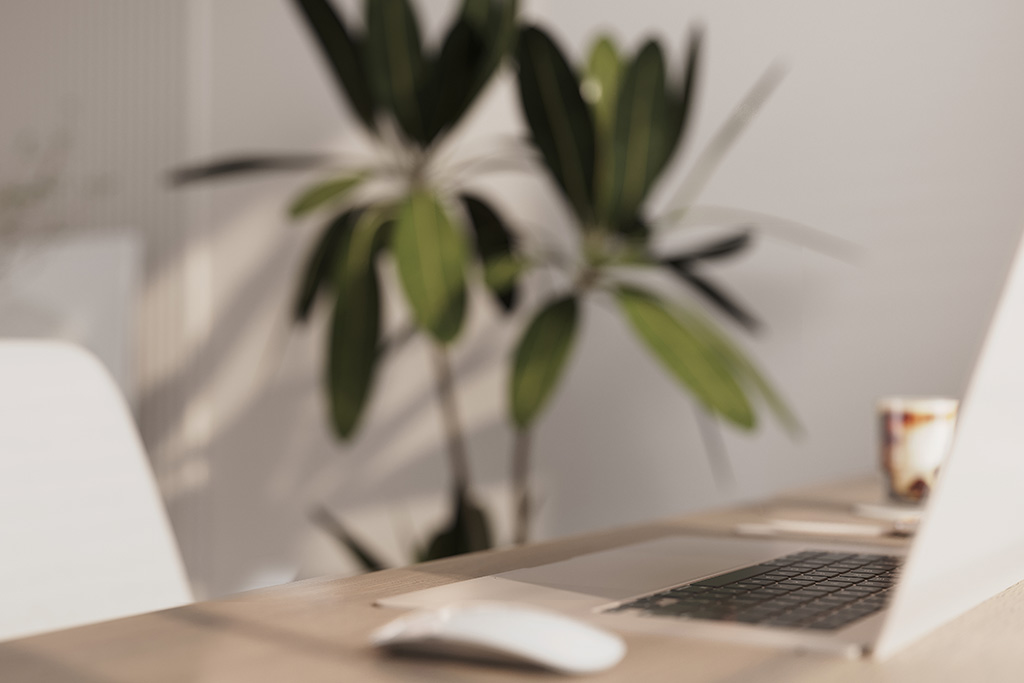 Office workplace